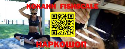 спиды Новодвинск