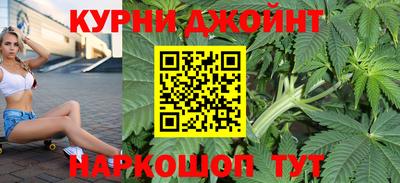 Альфа ПВП Новозыбков