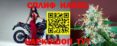 спиды Новодвинск