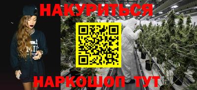 Альфа ПВП Новозыбков