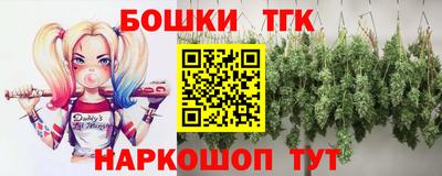спиды Новодвинск