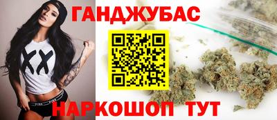 Альфа ПВП Новозыбков