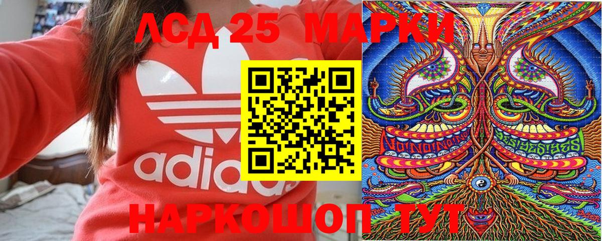 Наркотические марки 1500мкг  Наркотические марки 1500мкг  Шебекино  Вход с VPN 