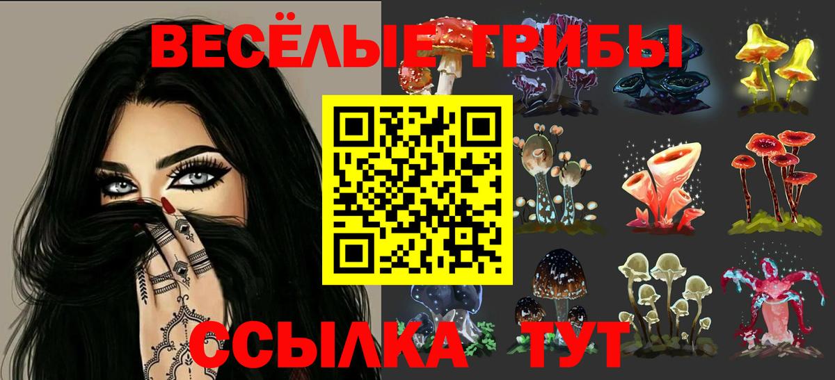 купить наркоту  Псилоцибиновые грибы Psilocybine cubensis  Вход с VPN  Шебекино 